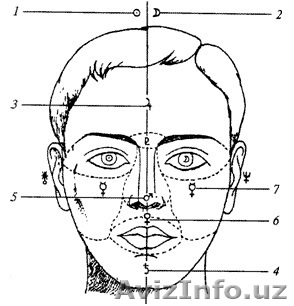 Физиогномика - чтение лиц - Изображение #1, Объявление #1125690
