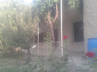 Продаыются два соеденненых дома в Бухарской области, идеален для большой семьи! - Изображение #2, Объявление #1312559