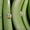 бананы продам и фрукты - Изображение #2, Объявление #268986
