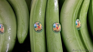 бананы продам и фрукты - Изображение #2, Объявление #268986