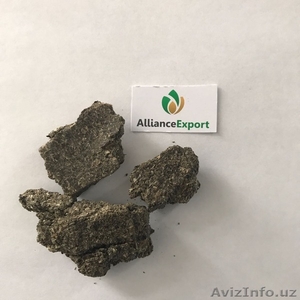 Продам Зерновые и Масленичные культуры из Казахстана