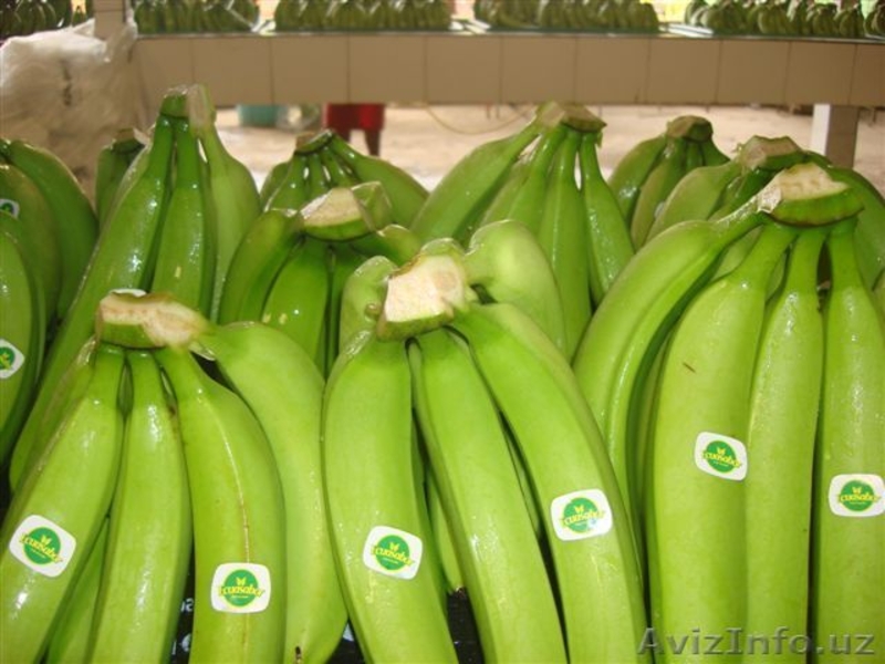 bananas,bananas,bananas - Изображение #2, Объявление #313867