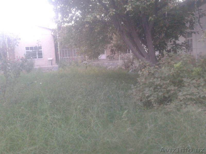 Продаыются два соеденненых дома в Бухарской области, идеален для большой семьи! - Изображение #8, Объявление #1312559