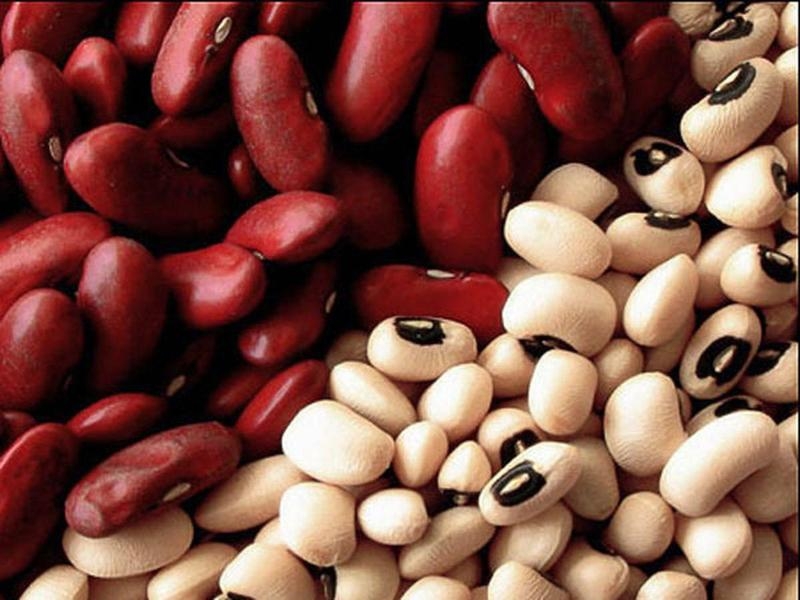 Фасоль - Изображение #1, Объявление #1663220