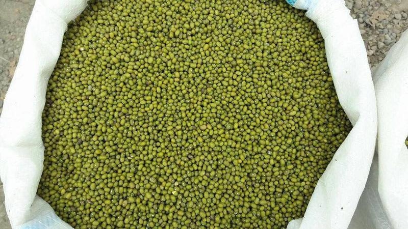 Маш - Изображение #2, Объявление #1663223