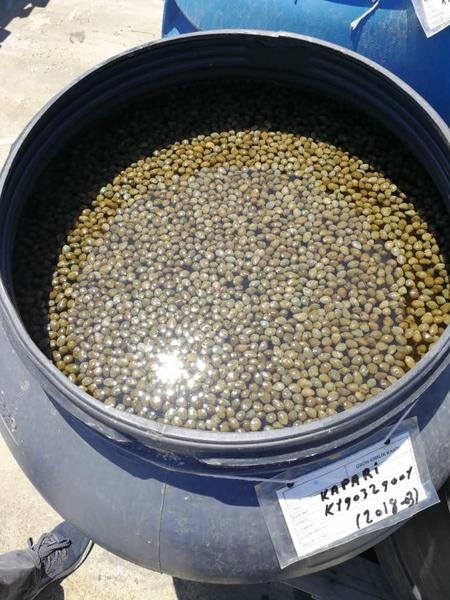 Каперсы - Изображение #2, Объявление #1662732